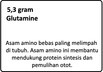 Glutamine